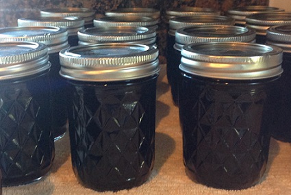 rows of mason jars full of homemade blackberry jam