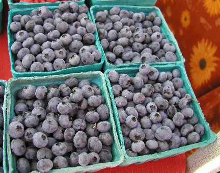 Blueberries, Blueberry Information, Whats Cooking America