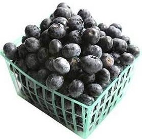 Blueberry Recipe Index