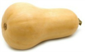 Butternut-Squash2.jpg