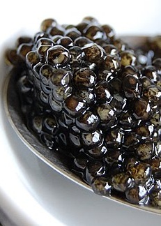 close up image of caviar in a white bowl