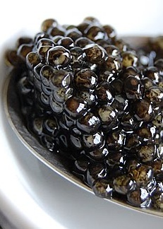 close up image of American Caviar in a white bowl