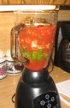 Rick's (soon to be famous) Salsa Recipe