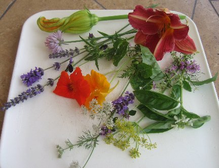 Freeze-Dried Edible Flowers (Flower Petals)