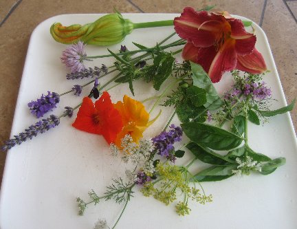 Edible Flowers Chart - What's Cooking America