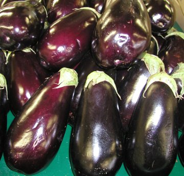 Eggplant Recipe Index