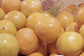 Grapefruit Recipe Collection