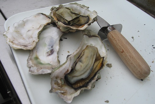 Oyster Recipe Index