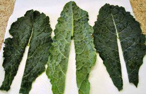 Lacinato Kale Leaves