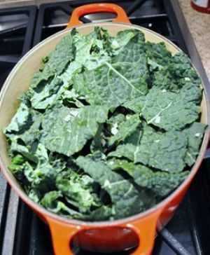 Latinato Kale in a pot