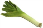 Leek