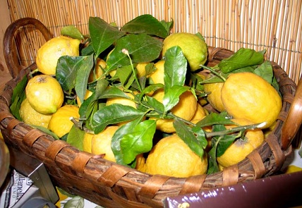 basket full of lemons and lemon leaves - lemon hints and tips