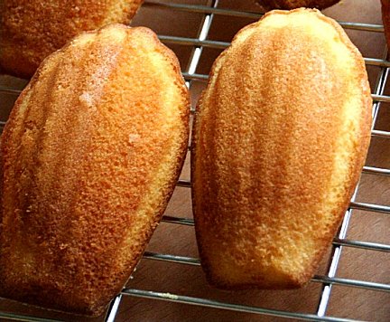 Browned Butter Madeleines