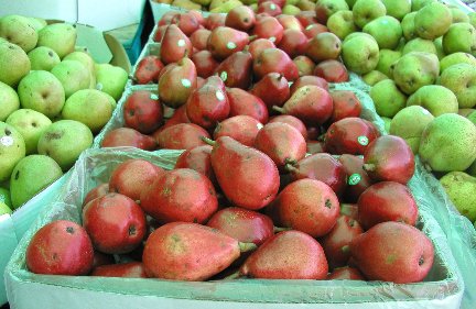 Pear and Parmesan Salad