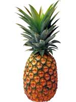 pineapple with white background