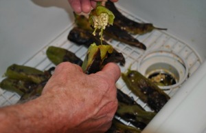 Pulling Hatch Chile Stems Off