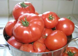 Baked Tomatoes with Mint and Basil