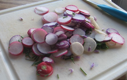 Radish Recipe Collection