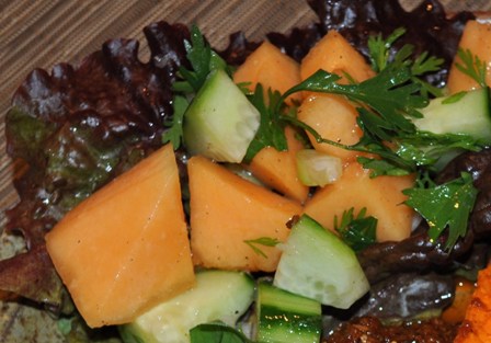 Melon Recipe Collection