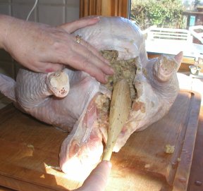 stuffing a raw turkey with a wooden spoon