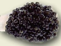 close up image of caviar