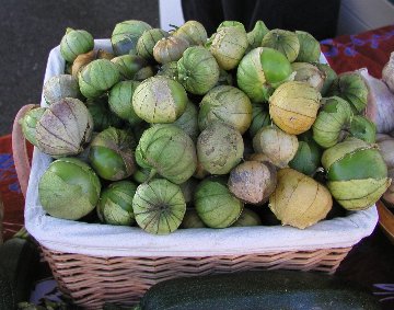 lots of tomatillos piled into a large basket