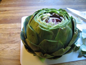 Artichoke diet