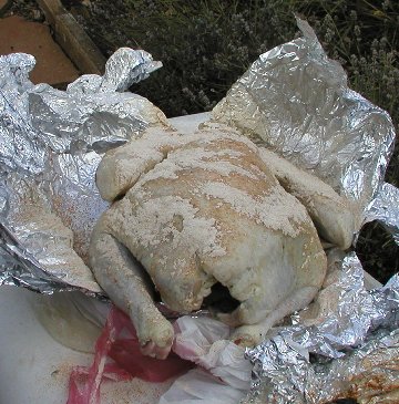 seasoned uncooked turkey