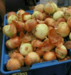 Sweet Onion Potato Salad