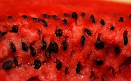 seeds in juicy watermelon flesh