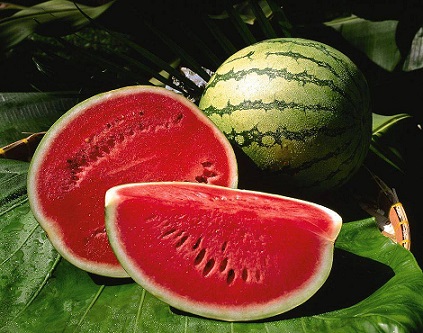 watermelons arranged on large green leaves