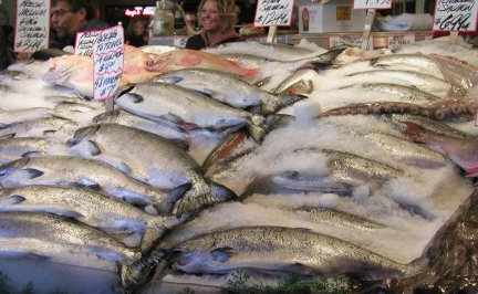 Purchasing Fish And Seafood, Whats Cooking America