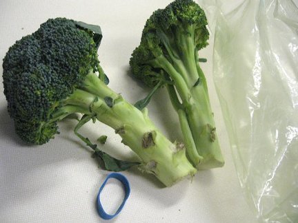 https://whatscookingamerica.net/wp-content/uploads/2015/03/broccoli25.jpg