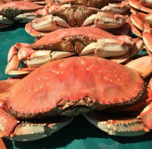 Crab Recipe Collection