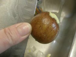 close up image of Avocado Pit on knife