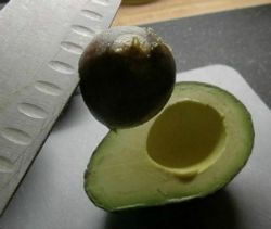 Removing Pit from Avocado with a knife