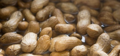 lots of Boiled Peanuts sitting in water