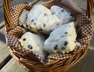 basket lined with brown gingham blanket full of lemon buttermilk scones with currants