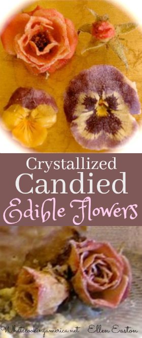 Candied Edible Flowers