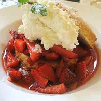 Strawberry Shortcake on a bed of strawberries in a white bowl