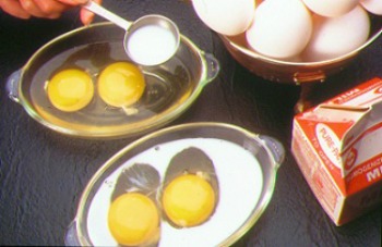 Eggs Ready to Bake
