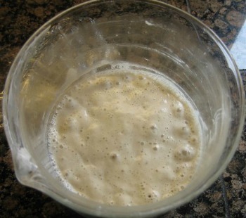 Sourdough Starter