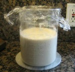 Sourdough Starter