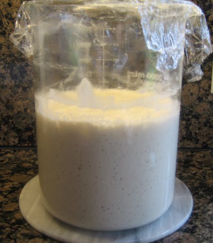 Sourdough Starter Recipe, Levain Starter Recipe, Whats Cooking America