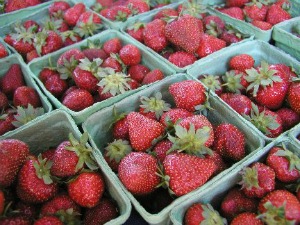 baskets of fresh picked strawberries