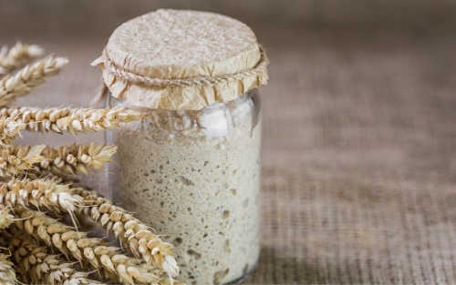 Sourdough Starter