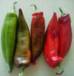Anaheim Chile Peppers
