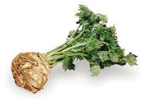 Celery Root