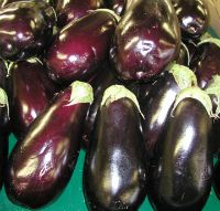 aubergines