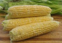 Corn on the Cob